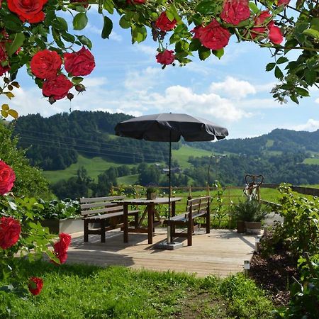 Bauernhof Schneider Daire Egg Dış mekan fotoğraf